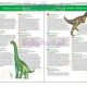 Djeco zoekpuzzel dinosaurussen 100 stukjes vanaf 5 jaar-1294